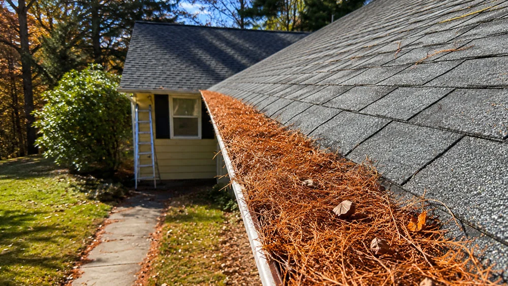 Healthy Gutters and Downspouts: Gutter Repair Services That Protect Your Home